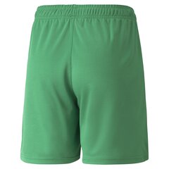 Шорты для мальчика Puma Neymar JR Copa Shorts Jr Jelly Bean 60557107, зеленые цена и информация | Шорты для мальчиков | pigu.lt