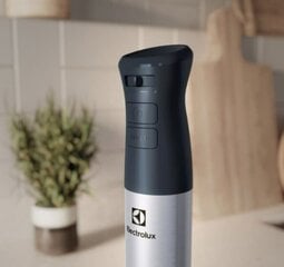 Electrolux E5HB1-6SS цена и информация | Electrolux Малая кухонная техника | pigu.lt