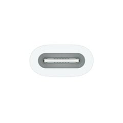 Apple USB-C to Apple Pencil Adapter - MQLU3ZM/A kaina ir informacija | Adapteriai, USB šakotuvai | pigu.lt