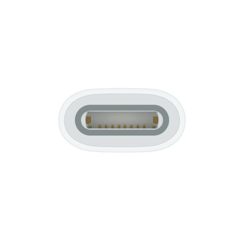 Apple USB-C to Apple Pencil Adapter - MQLU3ZM/A kaina ir informacija | Adapteriai, USB šakotuvai | pigu.lt