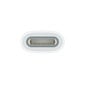 Apple USB-C to Apple Pencil Adapter - MQLU3ZM/A цена и информация | Adapteriai, USB šakotuvai | pigu.lt