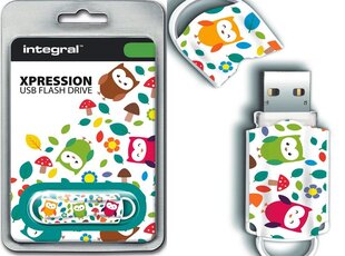 Atmintukas Integral Xpression Owls 16GB kaina ir informacija | USB laikmenos | pigu.lt