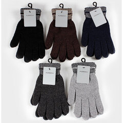 Перчатки мужские зимние, темно-серые цена и информация | Мужские шарфы, шапки, перчатки | pigu.lt