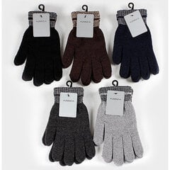 Перчатки мужские зимние, серые цена и информация | Мужские шарфы, шапки, перчатки | pigu.lt