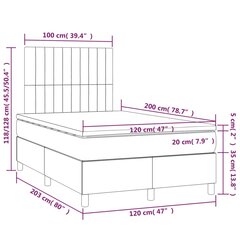 vidaXL Кровать с пружинным матрасом, темно-серый, 120x200 см цена и информация | Кровати | pigu.lt