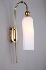 Настенный светильник Piega белого цвета цена и информация | Настенные светильники | pigu.lt