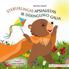 Stebuklingas apsiaustas ir dėkingumo galia цена и информация | Книги для детей | pigu.lt