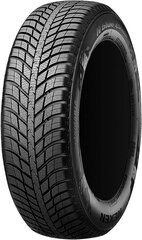 Nexen N'blue 4 Season 215/50R17 95 W XL цена и информация | Всесезонная резина | pigu.lt