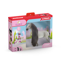 Figūrėlių rinkinys „Sofia & Dusty“ Schleich Horse Club Sofia´s Beauties kaina ir informacija | Žaislai mergaitėms | pigu.lt