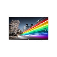 Монитор Videowall Philips 43BFL2214/12 43" 4K цена и информация | Мониторы | pigu.lt