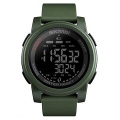 Skmei 1257AG 1257AG цена и информация | Мужские часы | pigu.lt