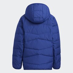 Легкая пуховая куртка Adidas H45032-176 цена и информация | Куртки для мальчиков | pigu.lt