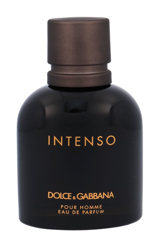 Kvapusis vanduo Dolce & Gabbana Intenso Pour Homme EDP vyrams 75 ml цена и информация | Kvepalai vyrams | pigu.lt