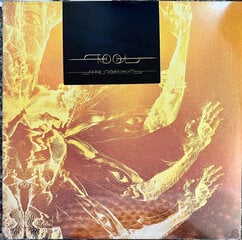 Tool - Fear Inoculum, 2LP + LP, Single Sided, Etched, виниловая пластинкаs, 12" vinyl record цена и информация | Виниловые пластинки, CD, DVD | pigu.lt