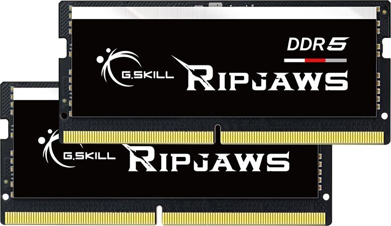 G.Skill Ripjaws (F5-4800S4039A32GX2-RS) kaina ir informacija | Operatyvioji atmintis (RAM) | pigu.lt