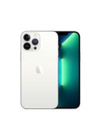 iPhone 13 Pro 1TB Silver (обновленный, состояние A) цена и информация | Мобильные телефоны | pigu.lt