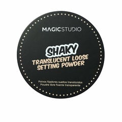 Пудра для фиксации макияжа Magic Studio Shaky цена и информация | Пудры, базы под макияж | pigu.lt