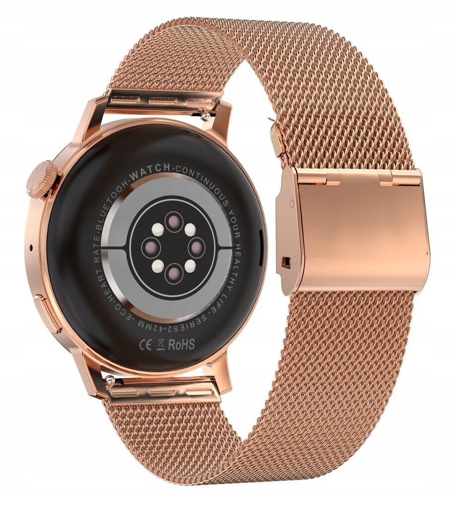DT3 Gold Steel цена и информация | Išmanieji laikrodžiai (smartwatch) | pigu.lt