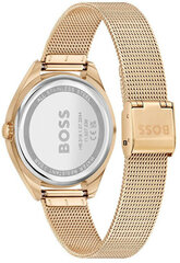 Часы Hugo Boss 1502668 цена и информация | Женские часы | pigu.lt