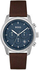 Мужские часы Hugo Boss 1514002 цена и информация | Мужские часы | pigu.lt