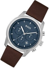 Мужские часы Hugo Boss 1514002 цена и информация | Мужские часы | pigu.lt