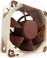 Noctua NF-A6x25-PWM kaina ir informacija | Kompiuterių ventiliatoriai | pigu.lt