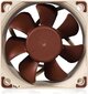 Noctua NF-A6x25-PWM kaina ir informacija | Kompiuterių ventiliatoriai | pigu.lt