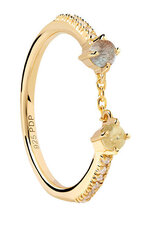 Sidabrinis žiedas skirtas moterims Pdpoala AN01-652, auksinė kaina ir informacija | Žiedai | pigu.lt