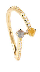 Sidabrinis žiedas skirtas moterims Pdpoala AN01-647, auksinė kaina ir informacija | Žiedai | pigu.lt