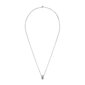 Metalinis kaklo papuošalas skirtas moterims Daniel Wellington DW00400213, sidabrinė kaina ir informacija | Kaklo papuošalai | pigu.lt