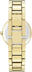 Moteriškas laikrodis Anne Klein AK/1362PRGB kaina ir informacija | Moteriški laikrodžiai | pigu.lt