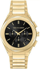 Trussardi Большой наручный хроно R2453156001 цена и информация | Мужские часы | pigu.lt