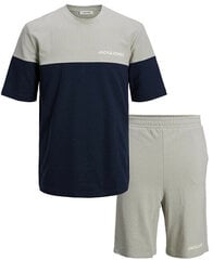 Marškinėlių ir šortų komplektas vyrams Jack&Jones Jaccolor 12213340, pilkas kaina ir informacija | Vyriški marškinėliai | pigu.lt