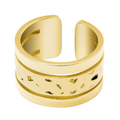Pierre Lannier Позолоченное массивное кольцо Echo BJ10A720 цена и информация | Кольца | pigu.lt