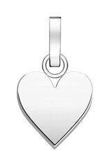 Plieninis kaklo papuošalas Rosefield PE-Silver-Heart, sidabrinė kaina ir informacija | Kaklo papuošalai | pigu.lt