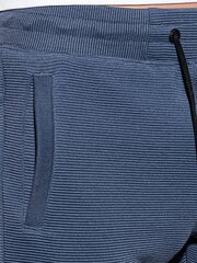 Šortai vyrams Ombre Clothing AMD190391900, mėlyni kaina ir informacija | Vyriški šortai | pigu.lt