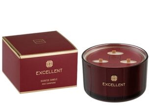 Parfumuota sojų vaško žvakė J-line Excellen Rose Champagne Red , 500 g kaina ir informacija | Žvakės, Žvakidės | pigu.lt