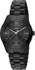 Esprit Скайлер ES1L348M0075 цена и информация | Женские часы | pigu.lt