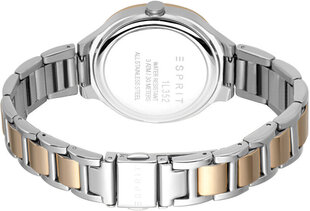 Moteriškas laikrodis Esprit ES1L352M0095 kaina ir informacija | Moteriški laikrodžiai | pigu.lt