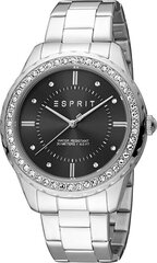 Esprit Скайлер XL ES1L353M0075 цена и информация | Женские часы | pigu.lt