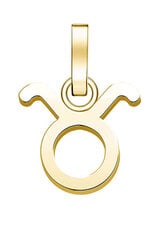 Rosefield Позолоченный кулон Bull The Pendant PE-Gold-Taurus-S цена и информация | Украшения на шею | pigu.lt