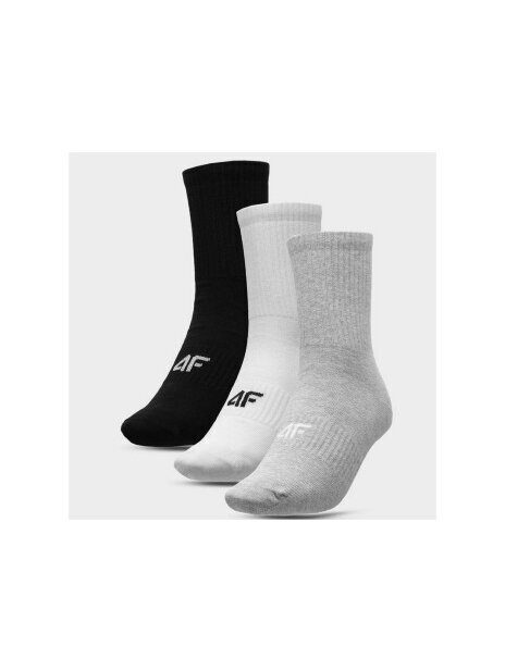 Kojinės vyrams 4F, įvairių spalvų, 3 poros kaina ir informacija | Vyriškos kojinės | pigu.lt