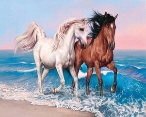 Rinkinys tapybai ant drobės pagal skaičius Horses, 400x500mm9 kaina ir informacija | Piešimo, tapybos, lipdymo reikmenys | pigu.lt
