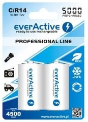 everActive C Ready to Use HR14/C elementai, 2vnt kaina ir informacija | everActive Santechnika, remontas, šildymas | pigu.lt