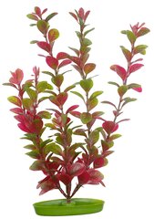 Пластиковое растение Marina AquaScaper 20см - Людвигия красная цена и информация | Аквариумные растения и декорации | pigu.lt