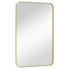 Prie sienos montuojamas veidrodis vidaXL, 50x80cm, auksinė spalva kaina ir informacija | Veidrodžiai | pigu.lt