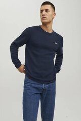 Свитер JACK & JONES 12248917PACIFICCOAST-S цена и информация | Мужской джемпер | pigu.lt