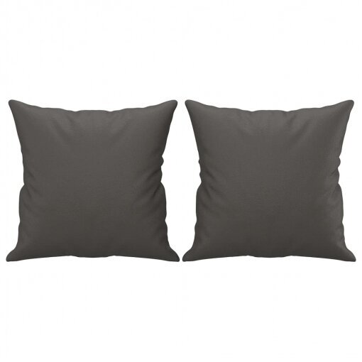 VidaXL dekoratyvinės pagalvėlės цена и информация | Dekoratyvinės pagalvėlės ir užvalkalai | pigu.lt