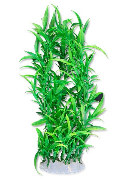 Folijos augalas 40cm 4f35 Happet цена и информация | Akvariumo augalai, dekoracijos | pigu.lt