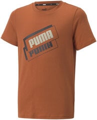 Футболка Puma Alpha Holiday Tee Orange 670109 64 670109 64/176 цена и информация | Рубашка для мальчиков | pigu.lt